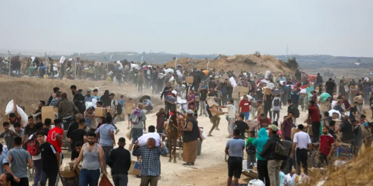 Warga Sipil di Gaza Diserang Saat Mencari Makanan di Pusat-Pusat Bantuan