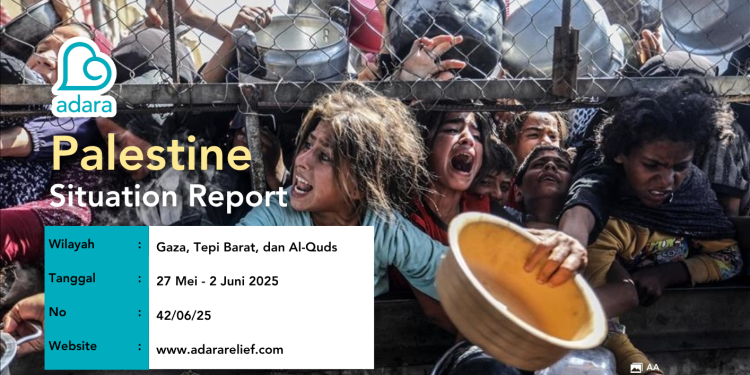Adara Palestine Situation Report 42