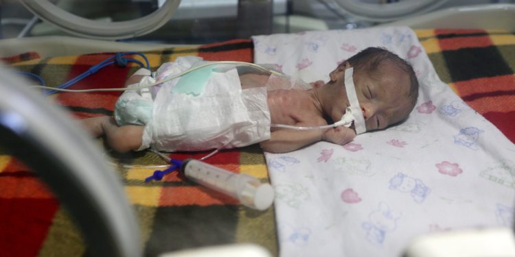 Data Kemenkes Gaza Ungkap Penurunan Kelahiran dan Lonjakan Kematian Bayi