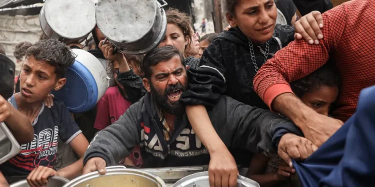 PBB: Sepertiga Warga Gaza Tidak Makan Selama Berhari-hari, Banyak yang Harus Pertaruhkan Nyawa Demi Makanan