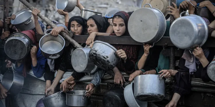 OCHA: Warga Gaza Tetap Pertaruhkan Nyawa Demi Mendapatkan Bantuan