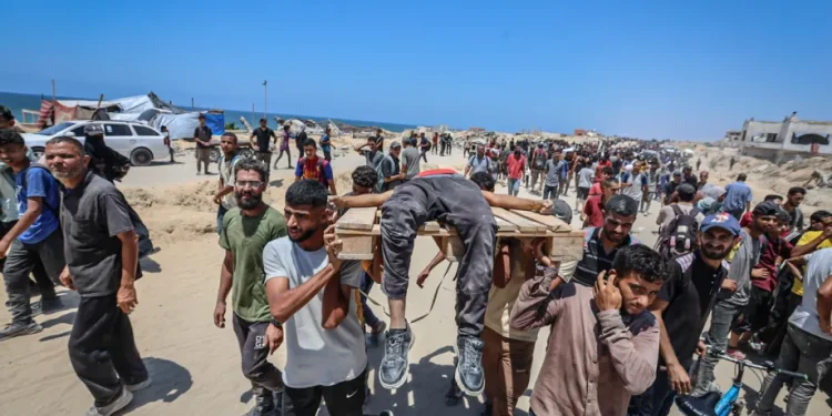 294 Warga Palestina Meninggal Saat Mencari Bantuan di Gaza Sejak 30 Juni