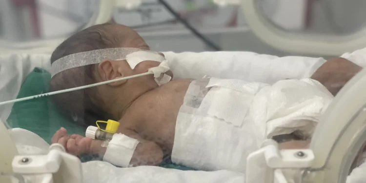 Bayi Prematur di Gaza Berjuang untuk Hidup di Tengah Krisis Bahan Bakar