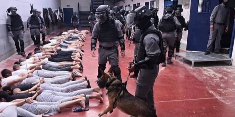 Penyiksaan Sistematis dan Impunitas Israel terhadap Tawanan Palestina