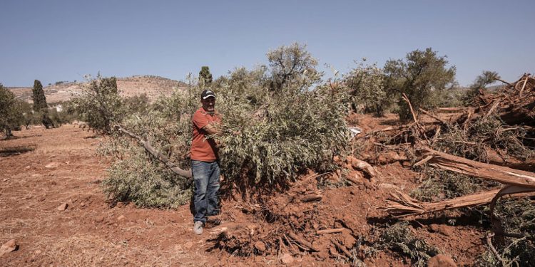 Organisasi HAM Israel Minta Investigasi Atas Dugaan Kejahatan Perang di Tepi Barat