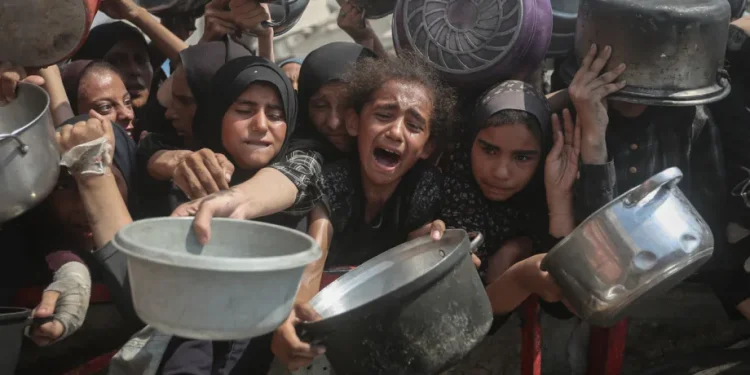 Bantuan ke Gaza Jauh di Bawah Kebutuhan Minimum, Gizi Buruk Anak Meningkat Tajam