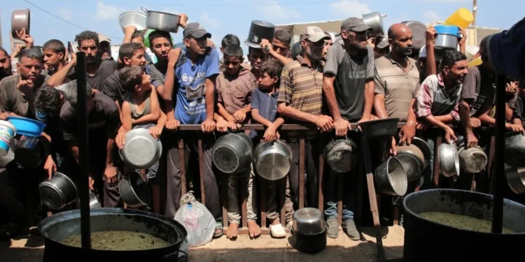 Rencana Permukiman E1: Amnesty dan Dunia Internasional Kutuk Langkah Israel