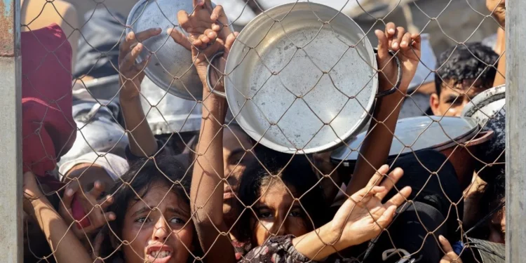 Genosida di Gaza: Apa artinya terjebak dalam kelaparan?