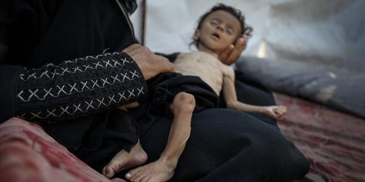 WHO Peringatkan Krisis Kesehatan Gaza dan Desak Israel Izinkan Pasokan Medis