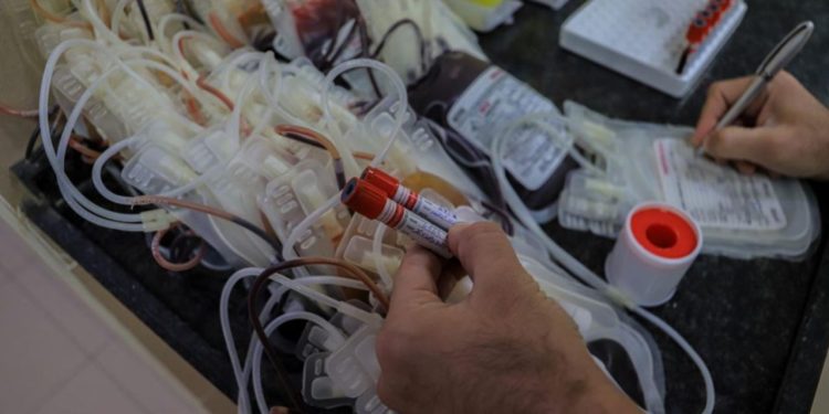 Krisis Darah Ancam Layanan Rumah Sakit di Gaza