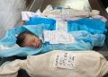 Mimpi Kecil yang Sirna di Langit Gaza