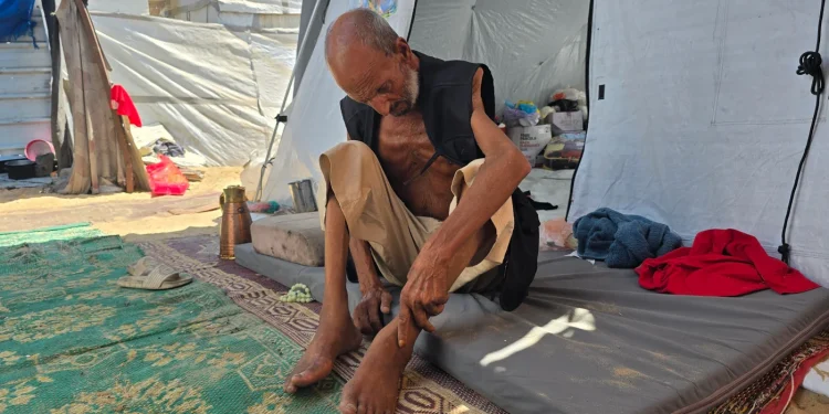 Blokade Israel Dorong Warga Gaza ke Ambang Kelaparan, Ibu Hamil dan Lansia Paling Rentan