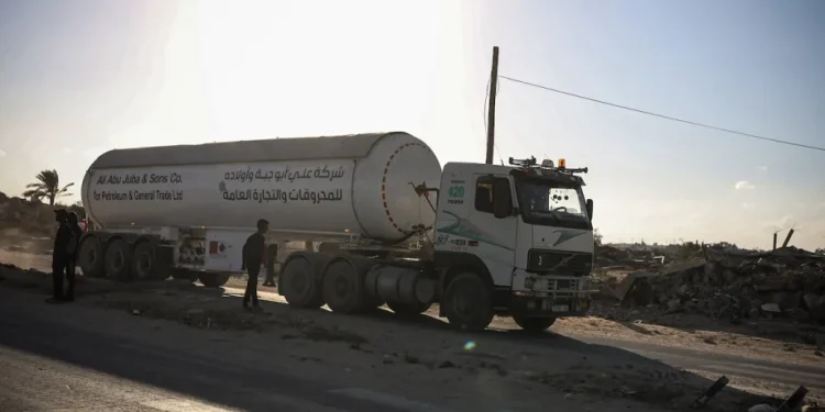 WFP Perluas Operasi Bantuan Pangan di Gaza Pasca-Gencatan Senjata