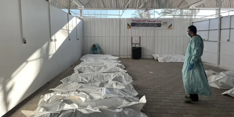 Tentara Israel menyerahkan jenazah warga Palestina kepada Komite Palang Merah Internasional (ICRC), yang kemudian dipindahkan ke Rumah Sakit Nasser di Khan Yunis, Gaza, untuk diidentifikasi. Keluarga berkumpul untuk mengidentifikasi jenazah kerabat mereka pada 15 Oktober 2025. [Doaa Albaz – Anadolu Agency]