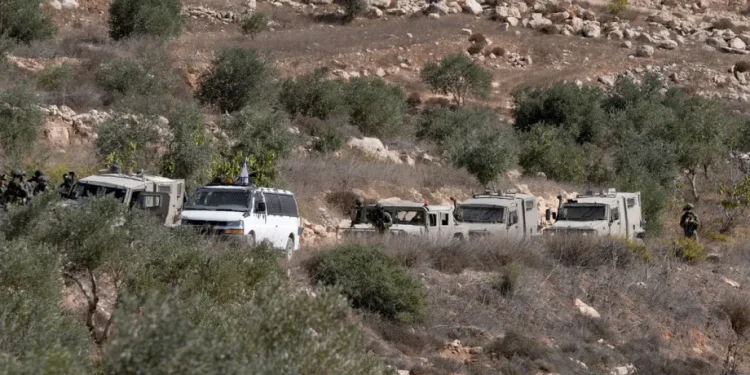 Kebun Zaitun di Bawah Kepungan: Keluarga Palestina Hadapi Kekerasan Israel Saat Musim Panen