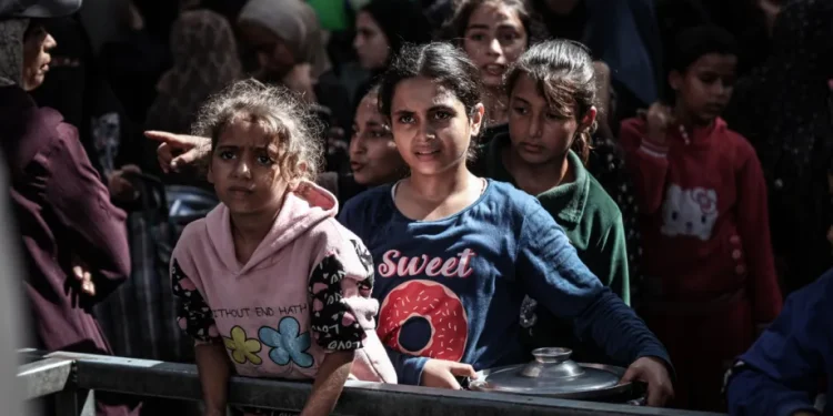 WHO: Krisis Kemanusiaan di Gaza Belum Berakhir Meski Ada Gencatan Senjata