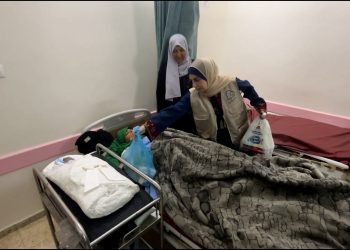 Harapan Kecil dari Nusantara untuk 104 Anak Gaza