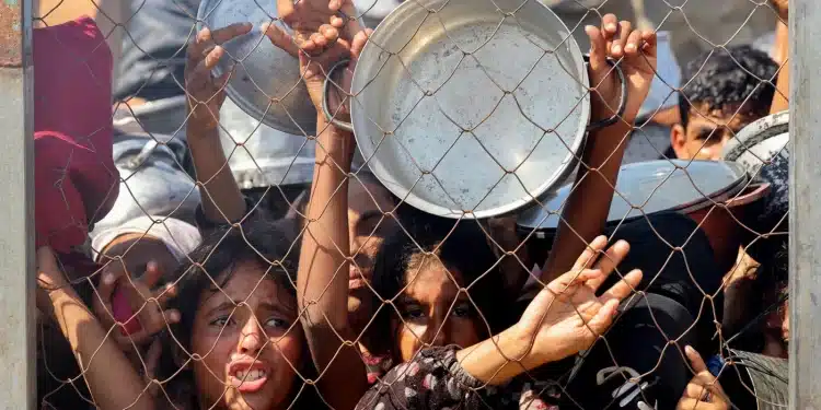 Anak-anak Palestina memohon untuk menerima makanan hangat di dapur amal di daerah Mawasi, Khan Younis, Jalur Gaza pada 22 Juli (AFP)