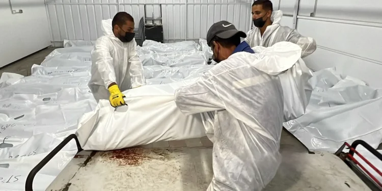 Kementerian Kesehatan Palestina di Gaza menerima puluhan jenazah yang diserahkan Israel pada hari Rabu, beberapa di antaranya menunjukkan tanda-tanda penyiksaan (Facebook/Amr Tabash)