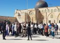 PLO Peringatkan Israel yang Gunakan Pariwisata untuk Mengukuhkan Kontrol atas Masjid Al-Aqsa