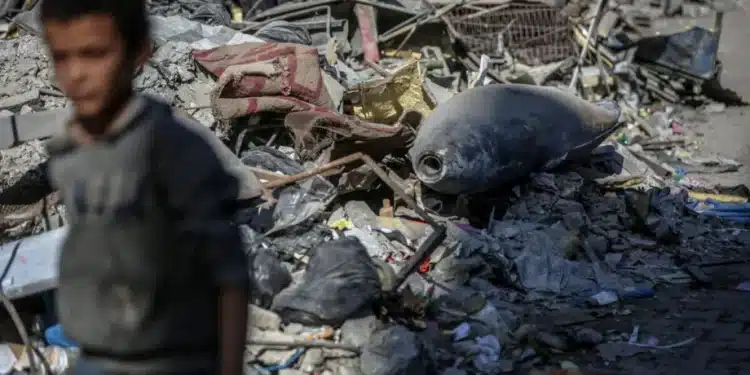 Anak Palestina Terbunuh Akibat Ledakan Sisa Bahan Peledak Israel di Gaza