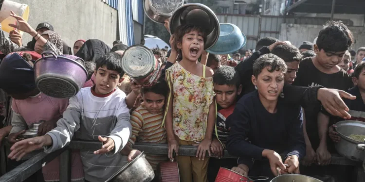 UNRWA: 90% Penduduk Gaza Bergantung pada Bantuan dan Bertahan Hidup dengan Satu Kali Makan Sehari