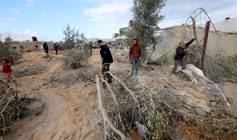 Penduduk Gaza memeriksa lahan pertanian mereka yang hancur akibat serangan Israel (The Guardian)