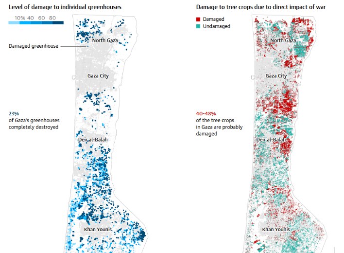 Infografis kerusakan pada rumah kaca dan lahan pertanian di Gaza selama satu tahun genosida (The Guardian)