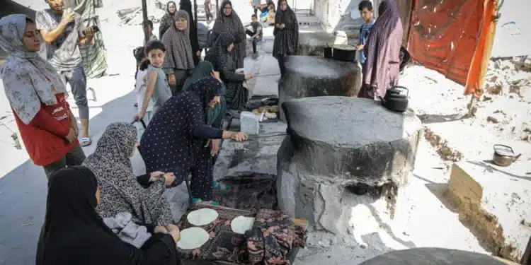 Lebih dari 57.000 Rumah Tangga di Gaza Dipimpin oleh Perempuan di tengah Kesulitan Ekstrem