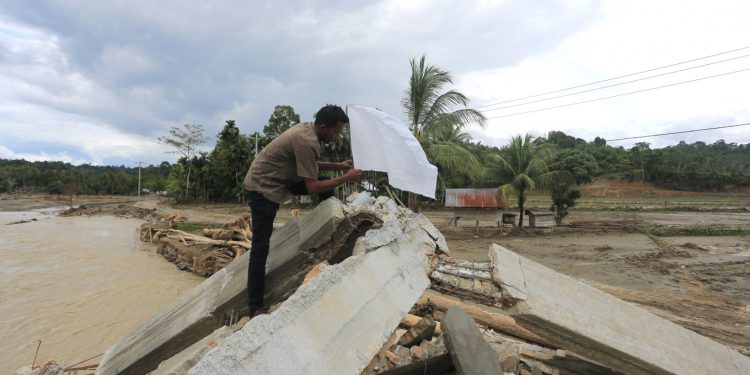 Seorang warga memasang bendera putih di depan rumahnya yang rusak pada 17 Desember 2025, setelah banjir besar di desa Jambak, distrik Pante Ceureumen, Aceh Barat, Aceh. Bendera putih tersebut dikibarkan oleh warga desa untuk menyerukan kepada pemerintah agar segera menyatakan bencana di Sumatera sebagai bencana nasional, yang akan memungkinkan bantuan internasional masuk dan membantu mempercepat upaya pemulihan. (Antara/Syifa Yulinnas)