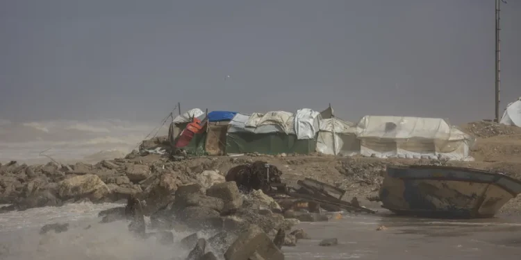 25 Warga Palestina Terbunuh di Gaza Akibat Cuaca Ekstrem Sejak Awal Desember