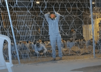 Jurnalis Palestina Membongkar Penyiksaan Seksual oleh Tentara Israel di Kamp Sde Teiman