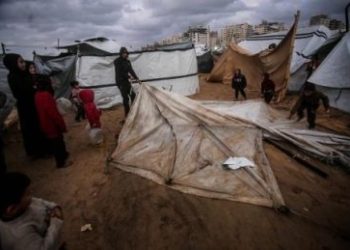 Wabah Leptospirosis Mengancam Gaza, Anak-anak Jadi Pihak Paling Rentan 