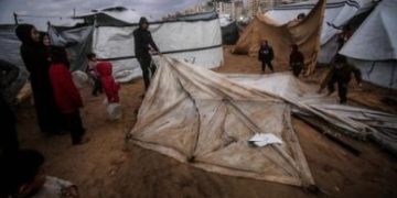 Wabah Leptospirosis Mengancam Gaza, Anak-anak Jadi Pihak Paling Rentan 