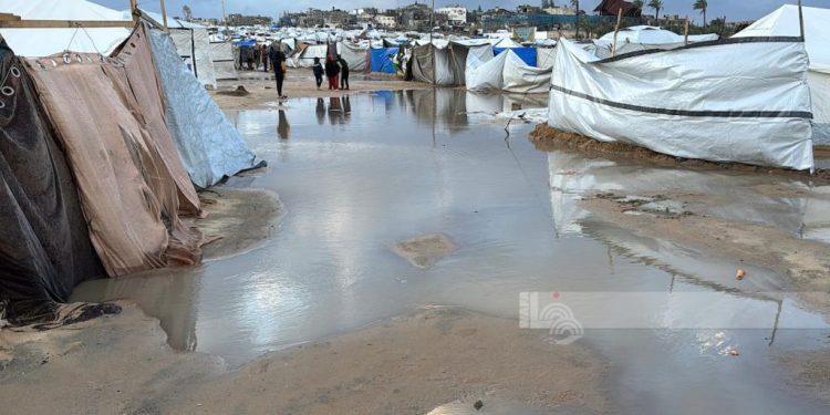 MSF Peringatkan Krisis Kemanusiaan Gaza Kian Memburuk di Tengah Musim Dingin dan Serangan Israel