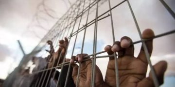 Penjara Israel Dinilai Jadi Ruang Penyiksaan Sistematis bagi Anak dan Perempuan Palestina