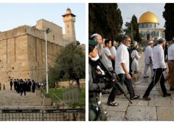 Kementerian Wakaf Palestina: Penyerbuan Al-Aqsa Meningkat, Azan Dicegah Ratusan Kali di Masjid Ibrahimi