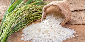 Fidyah: Tebusan yang Menyatukan Hati