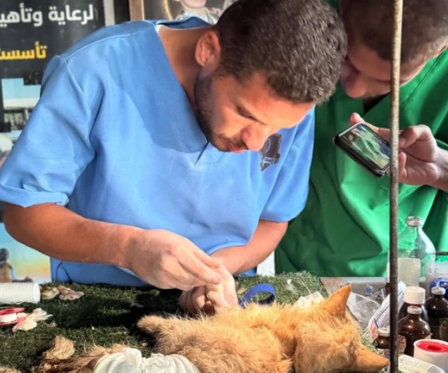 Mu’ath Abu Rukba (The New Arab)