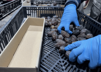 Cara Mengidentifikasi Kurma Produksi Permukiman Ilegal Israel