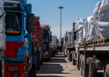 Delapan LSM Tolak Perintah Israel untuk Menyerahkan Daftar Nama Staf