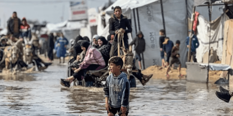 Hujan Deras Membanjiri Tenda-Tenda Pengungsi di Gaza