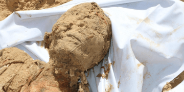 Pejabat Kesehatan Gaza Mempertanyakan Sumber Donor Organ Israel