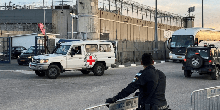 Pemukim Israel Lakukan “Tur Safari” Tawanan Palestina