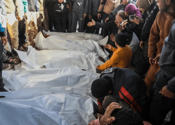 Populasi Gaza Menurun 10,6 Persen Akibat Genosida