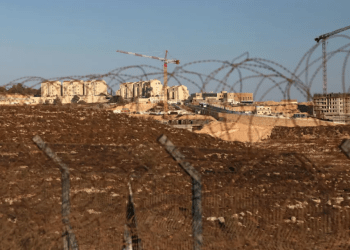 Warga Palestina Hanya Mendapat 66 Izin Pembangunan di Tepi Barat Selama 11 Tahun