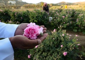 Dermawan yang Hakiki; Memberi Tanpa Diminta