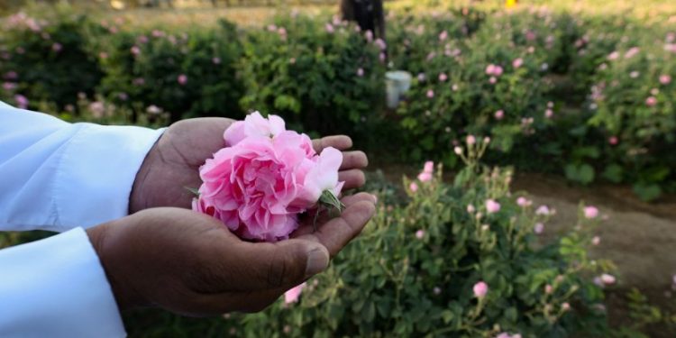 Dermawan yang Hakiki; Memberi Tanpa Diminta