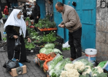 Kondisi Ekonomi Palestina Hadapi Kerugian yang Berkelanjutan