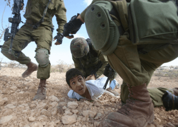 Mohammad Hanani: Tubuh Kecil yang Menghadapi Kebrutalan Tentara Israel